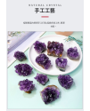 天然 紫水晶塊 紫晶簇 30-50G